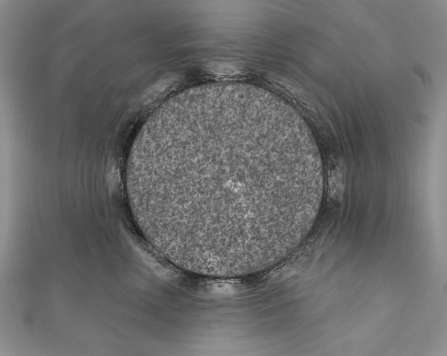 X0000111000618200907171815