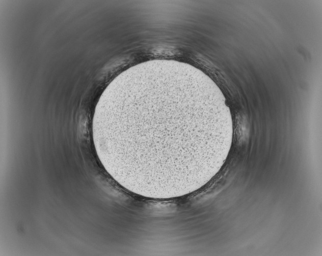 X0000111000619200907171815