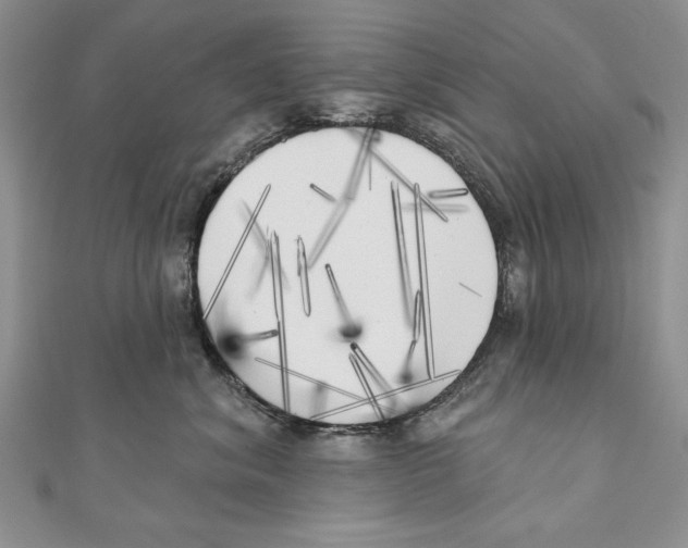 X0000111000620200907171815