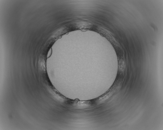 X0000111000622200907171815