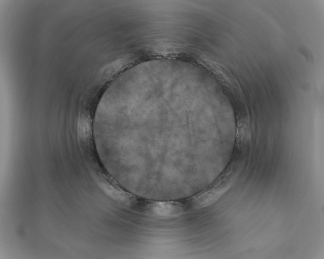 X0000111000623200907171815