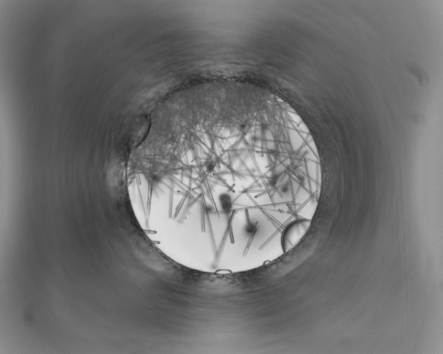 X0000111000624200907171815