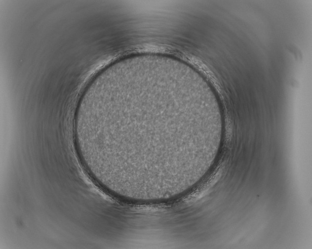 X0000111000625200907171814