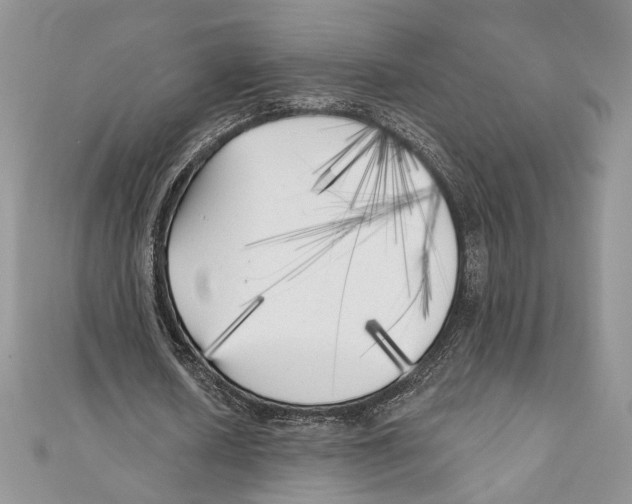 X0000111000626200907171814