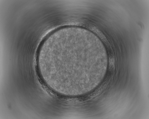 X0000111000628200907171814