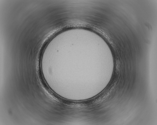 X0000111000629200907171814