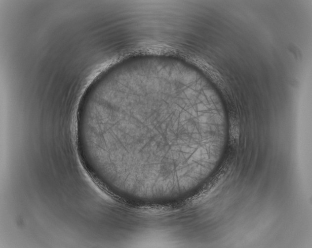 X0000111000630200907171814