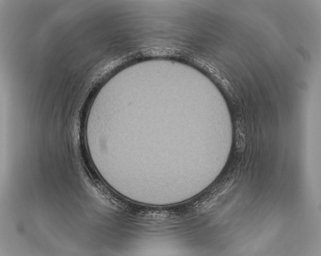 X0000111000631200907171814