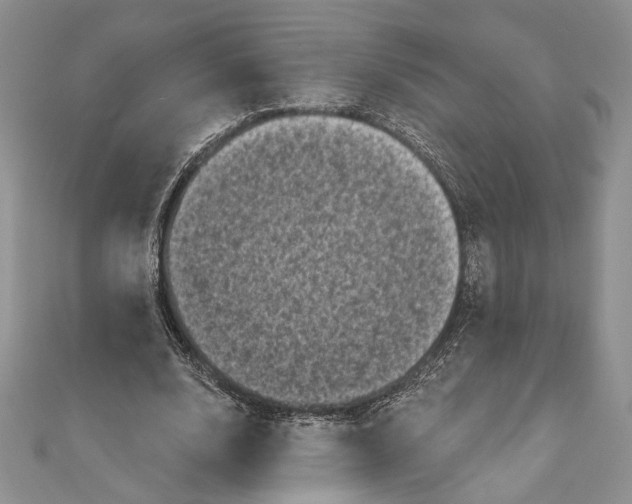 X0000111000632200907171814