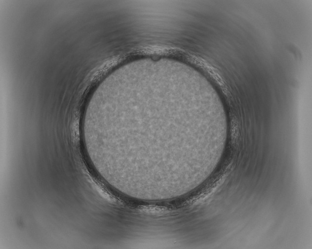 X0000111000633200907171814