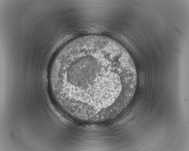 X0000111000634200907171814