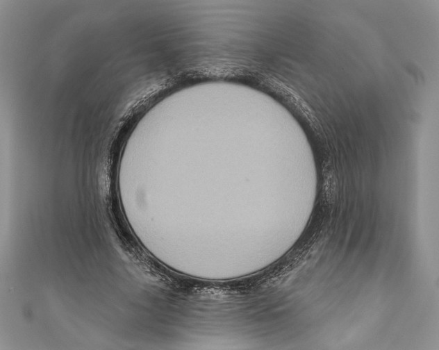 X0000111000635200907171814