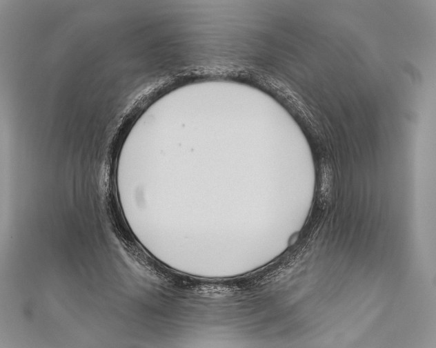 X0000111000636200907171814