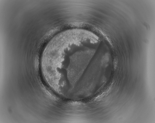 X0000111000637200907171814