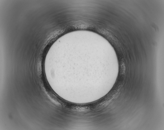 X0000111000638200907171814