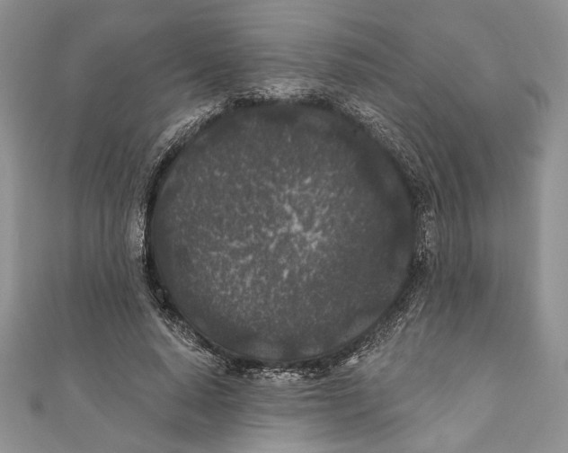 X0000111000640200907171814