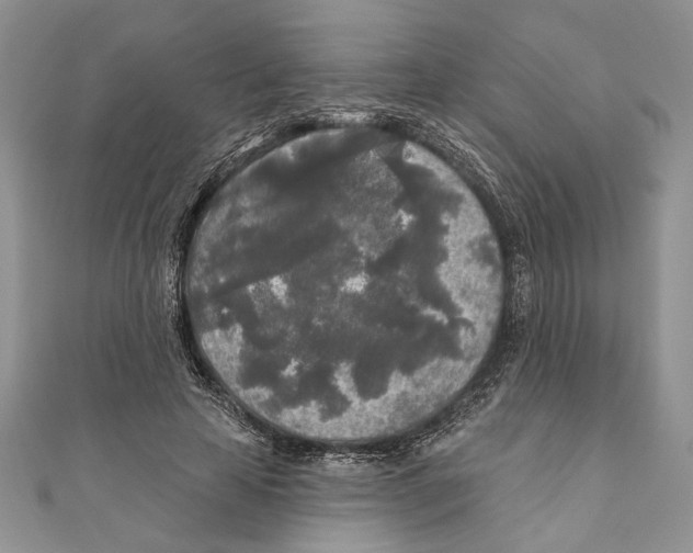 X0000111000641200907171814