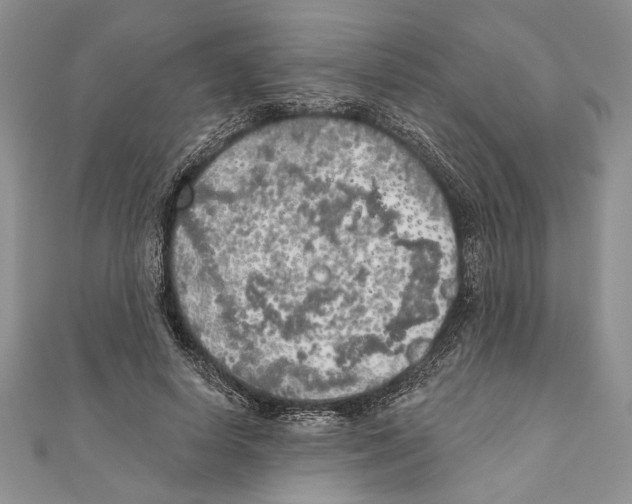 X0000111000642200907171814