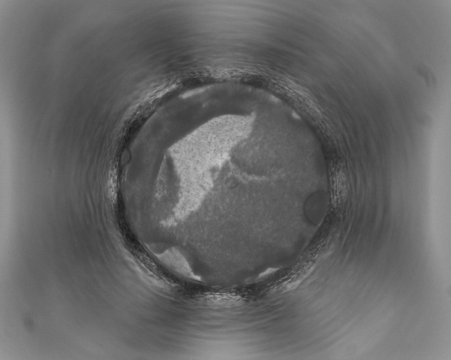 X0000111000644200907171814