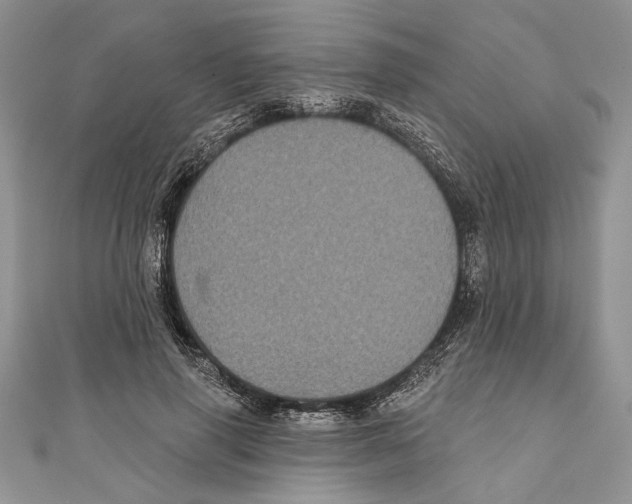 X0000111000645200907171814