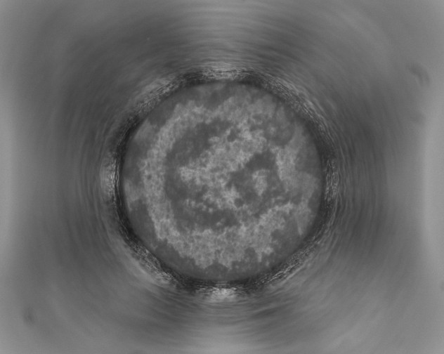 X0000111000647200907171814