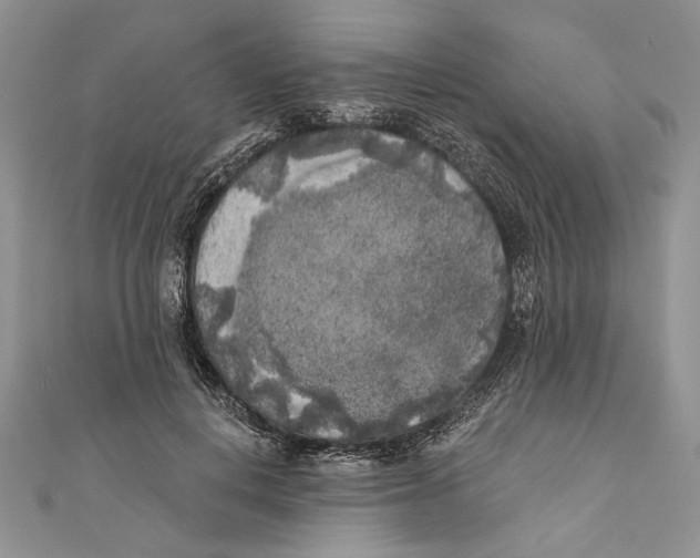 X0000111000648200907171814