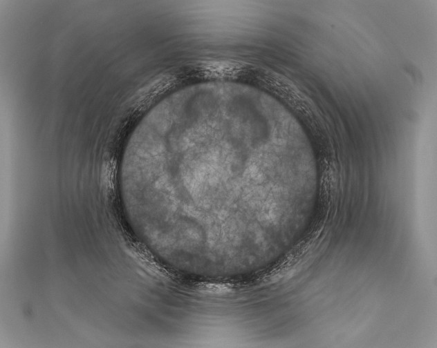 X0000111000649200907171814