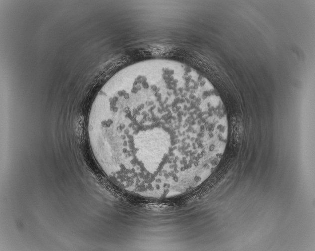 X0000111000650200907171814