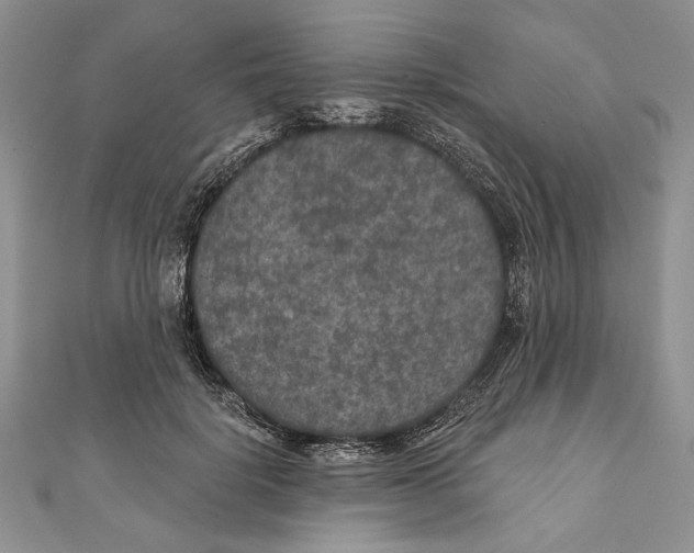 X0000111000652200907171814