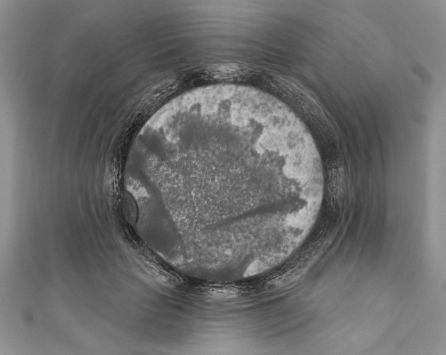 X0000111000653200907171814