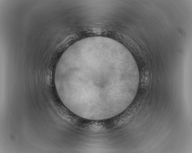 X0000111000656200907171814