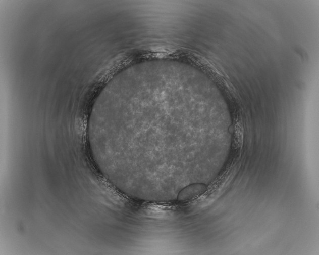 X0000111000657200907171815