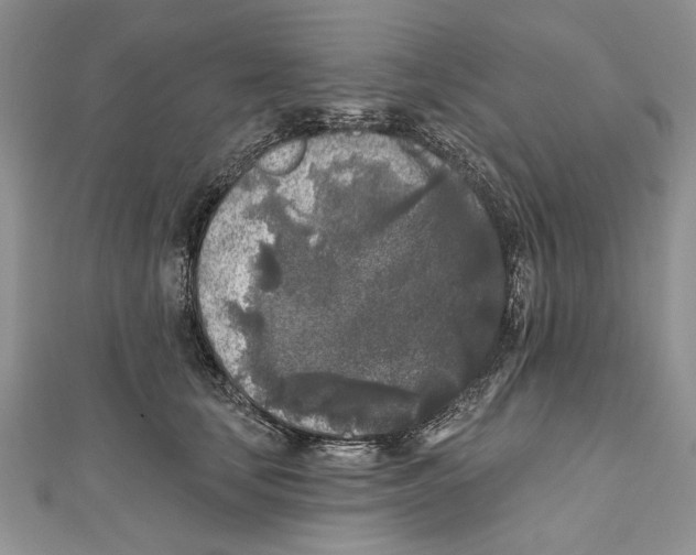 X0000111000659200907171815