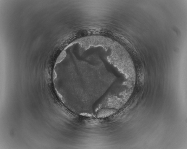 X0000111000661200907171815