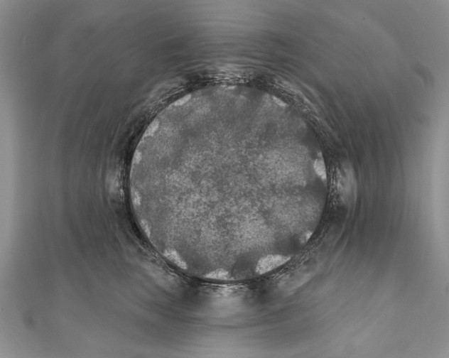 X0000111000663200907171815