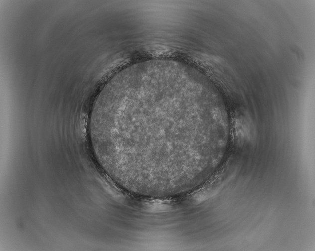 X0000111000664200907171815