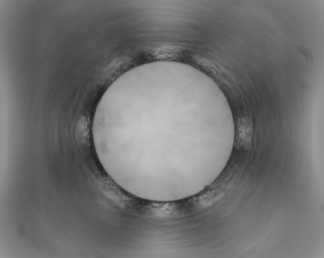 X0000111000667200907171815