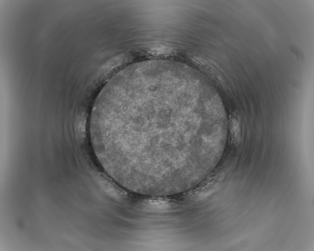 X0000111000668200907171815