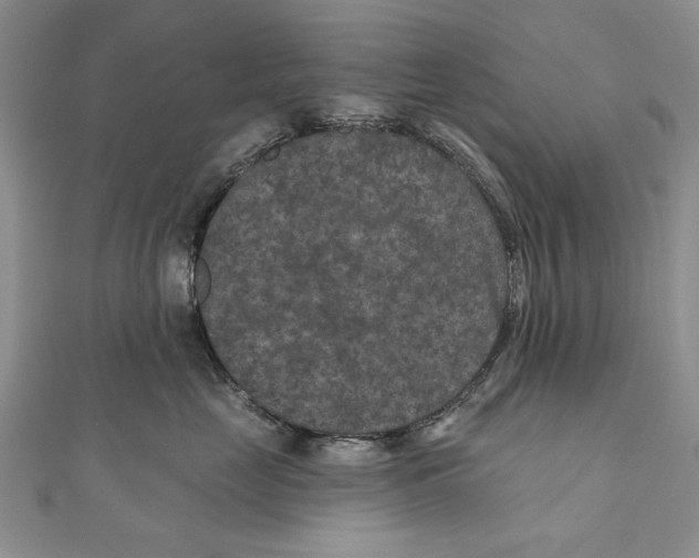 X0000111000669200907171815