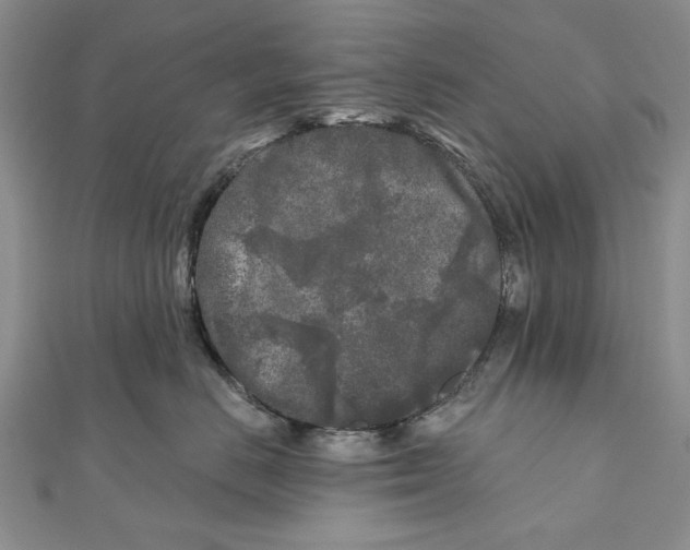 X0000111000670200907171815