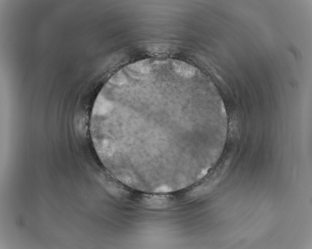 X0000111000671200907171815