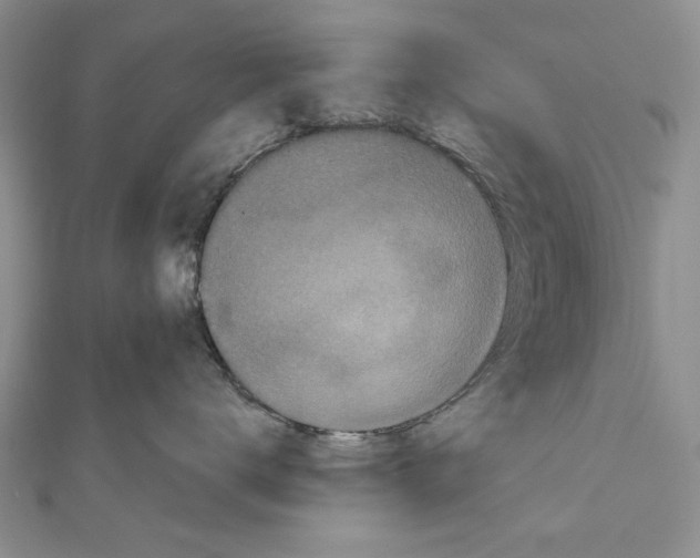 X0000111000672200907171815