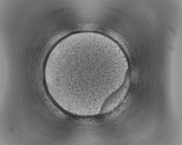 X0000111000673200907171814