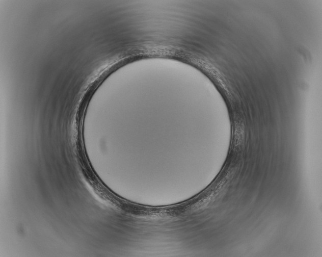 X0000111000674200907171814