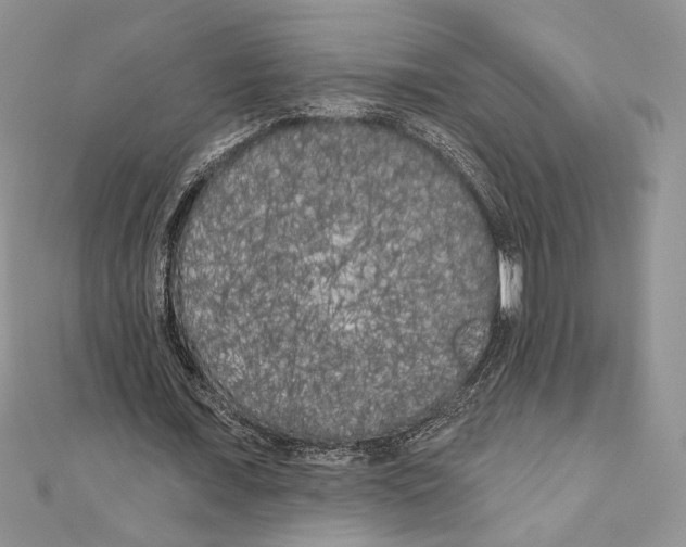 X0000111000675200907171814