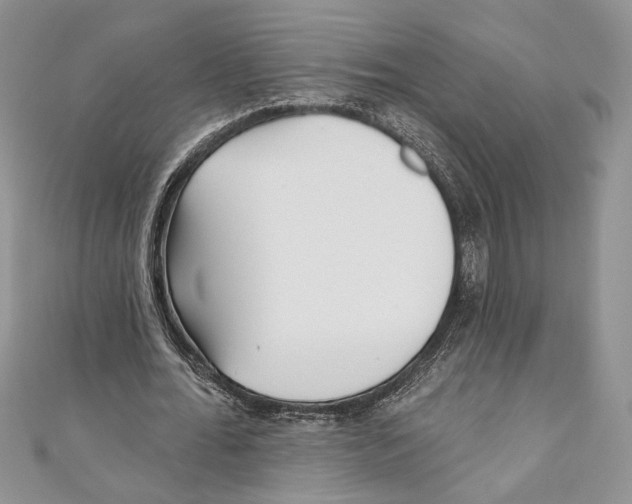 X0000111000676200907171814