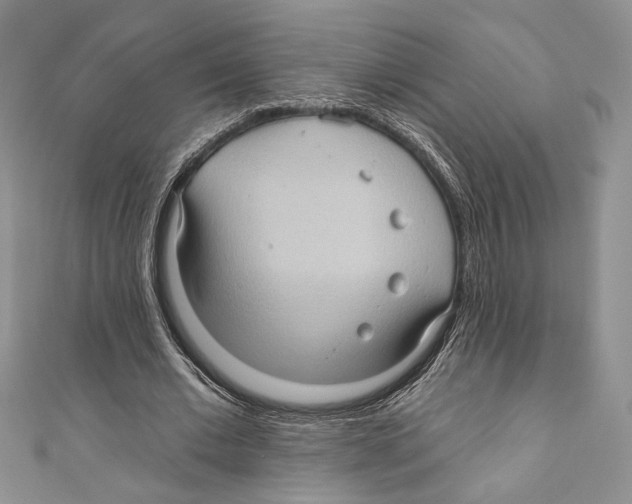 X0000111000677200907171814