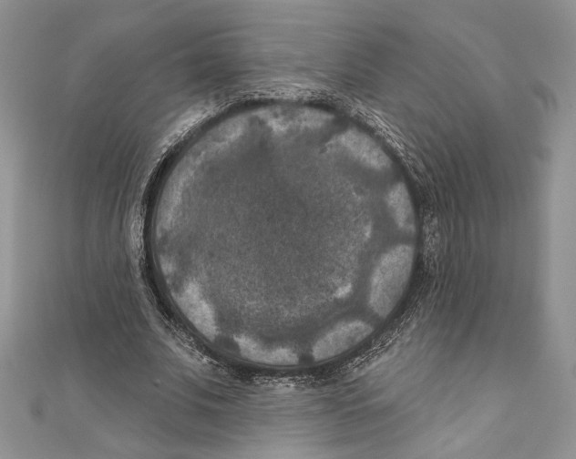 X0000111000679200907171814