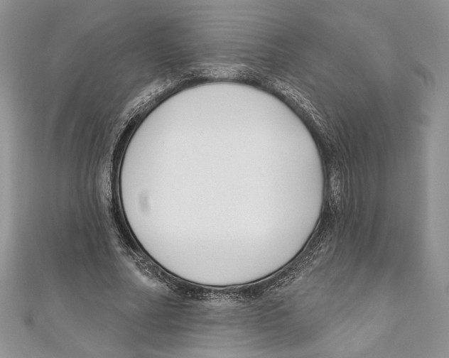 X0000111000682200907171814