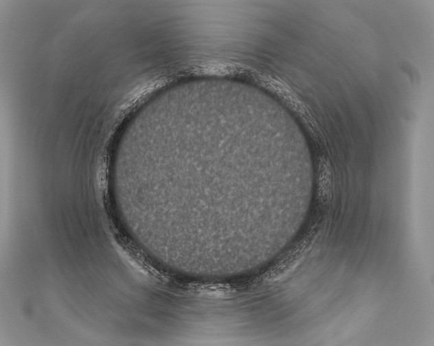 X0000111000683200907171814